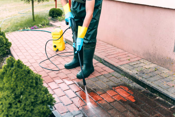 Professional Pressure Washing Services in Inniswold, LA